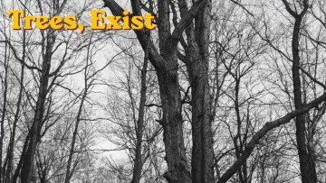 Задник к фильму "Trees, exist" #800075