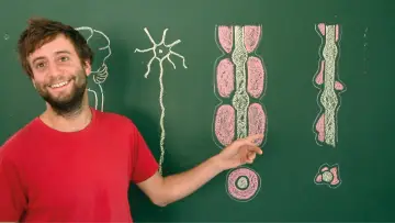 Задник к фильму "Toubib, 12 années dans la vie d