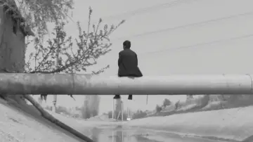 Задник к фильму "The Letter" #981508