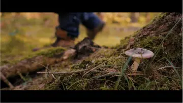 Задник к фильму "Smaragdil: L