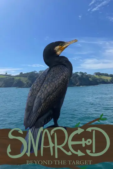 Постер к фильму "Snared" #1647250