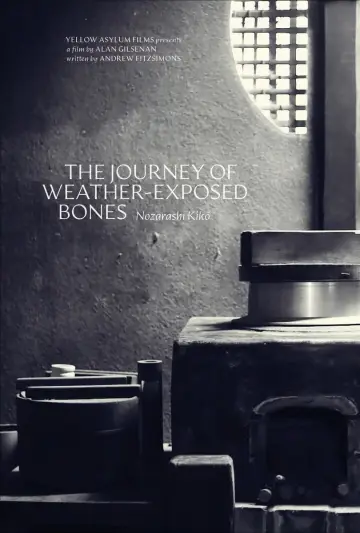The Journey of Weather-Exposed Bones постер