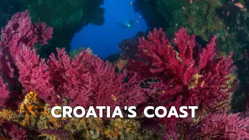 Задник к фильму "Croatias Coast - Endless and Wild" #1195132