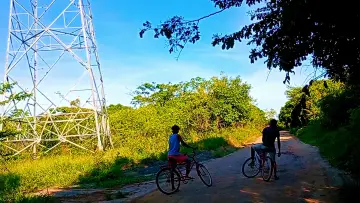 Задник к фильму "Árvores e Bicicletas" #820686