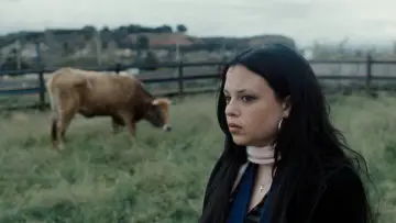 Задник к фильму "Tú, yo y la vaca" #1787619