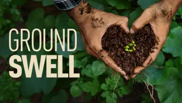 Задник к фильму "Groundswell" #910690