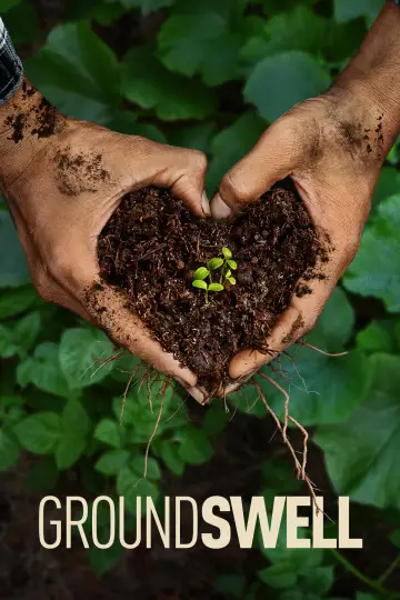 Groundswell постер