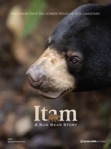 Постер к фильму "Itam: A Sun Bear Story" #821404