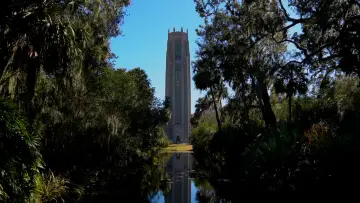 Задник к фильму "The Road to Old Florida" #825761