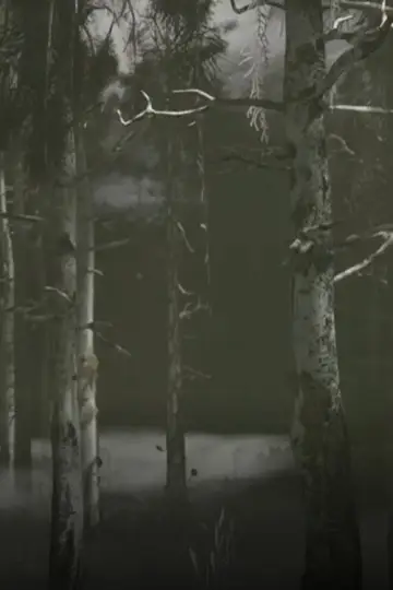 Постер к фильму "El que camina al lado" #820637