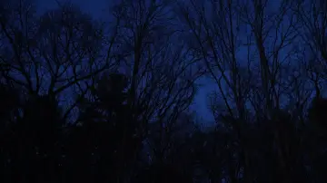 Задник к фильму "Hollow Walker of the Lake" #825892