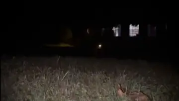 Задник к фильму "The Lurker" #969840