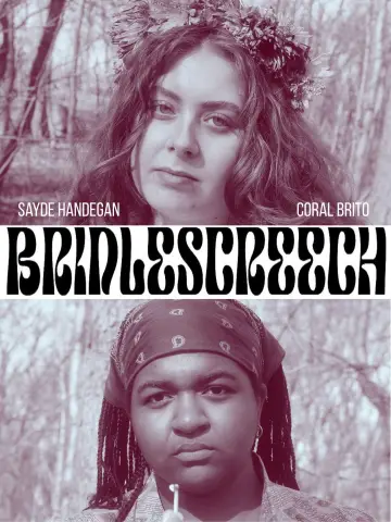 Bridlescreech постер