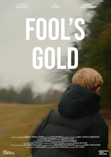 Постер к фильму "Fool