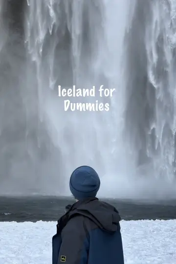 Постер к фильму "Iceland for Dummies" #822917