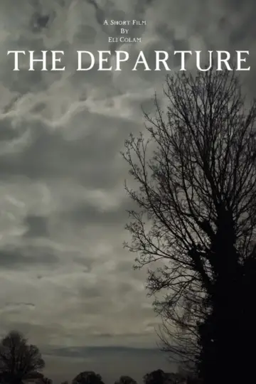 Постер к фильму "The Departure" #823639