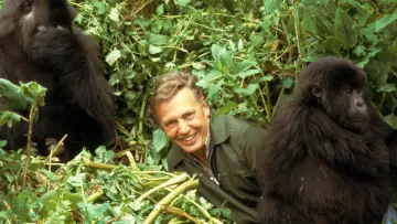 Задник к фильму "Making Life on Earth: Attenborough’s Greatest Adventure" #916412