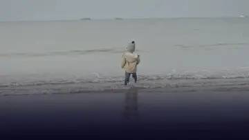 Задник к фильму "Marius et le bruit des vagues" #1639799