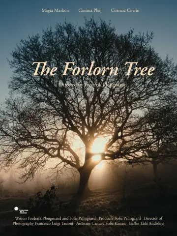 Постер к фильму "The Forlorn Tree" #850479