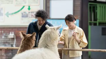 Задник к фильму "さとこはいつも" #1212593