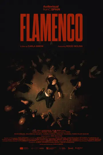 Flamenco постер
