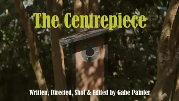 Задник к фильму "The Centrepiece" #823993