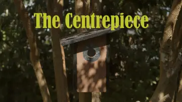 Задник к фильму "The Centrepiece" #823995