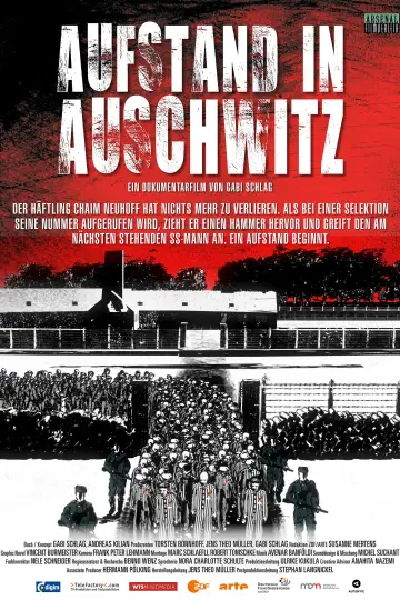 Постер к фильму "Aufstand in Auschwitz" #843558