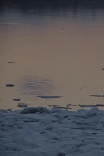 Постер к фильму "there