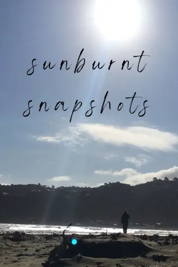 Постер к фильму "Sunburnt Snapshots" #825955