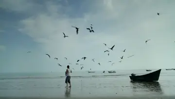 Задник к фильму "Pescador" #745582