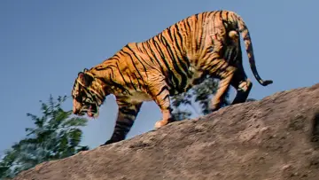 Задник к фильму "Jungle Cat" #1873648