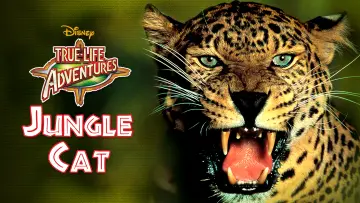 Задник к фильму "Jungle Cat" #1873649