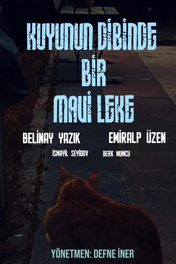 Постер к фильму "Kuyunun Dibinde Bir Mavi Leke" #845734