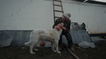 Задник к фильму "Rescue" #1647052