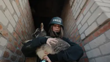 Задник к фильму "Rescue" #1647054