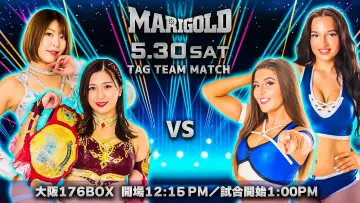 Задник к фильму "Marigold Shining Attack 2026 ~ Day 9" #856266