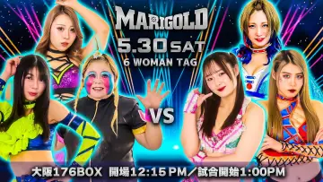 Задник к фильму "Marigold Shining Attack 2026 ~ Day 9" #856268