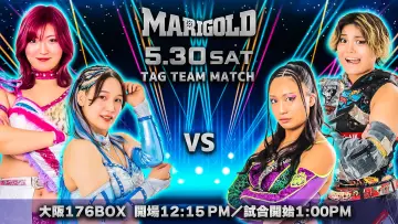 Задник к фильму "Marigold Shining Attack 2026 ~ Day 9" #856270