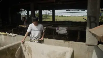 bagito постер