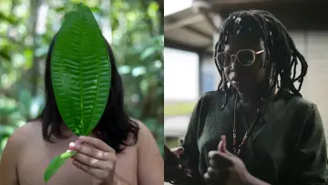 Задник к фильму "Guyane, amours taboues" #826630
