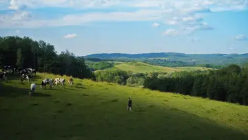 Задник к фильму "Vihor" #856282