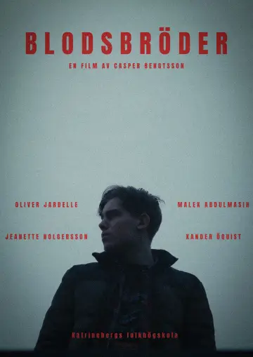 Постер к фильму "Blodsbröder" #863603