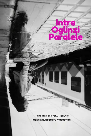 Intre Oglinzi Paralele