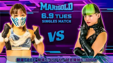Задник к фильму "Marigold Shining Attack 2026 ~ Day 11" #1159515