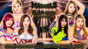 Задник к фильму "Marigold Shining Attack 2026 ~ Day 13" #1153620