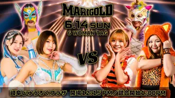 Задник к фильму "Marigold Shining Attack 2026 ~ Day 13" #1153621
