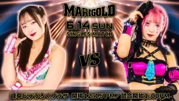 Задник к фильму "Marigold Shining Attack 2026 ~ Day 13" #1153623
