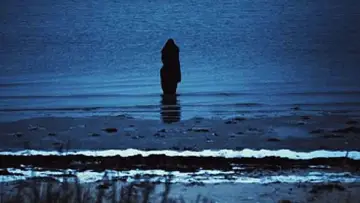 Задник к фильму "Steven Wilson: Catalogue / Preserve / Amass" #1159587