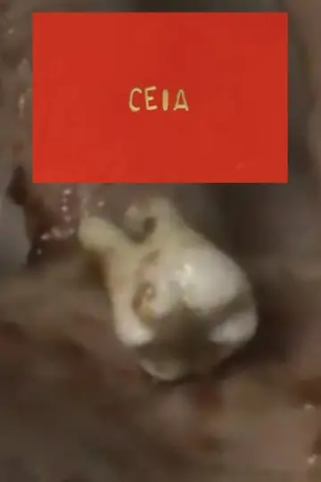 Постер к фильму "Ceia" #922045